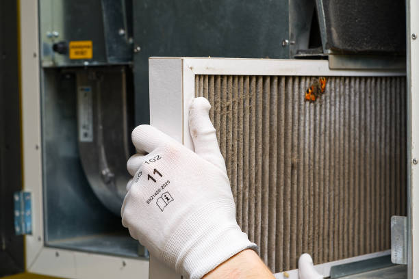 Air Duct Mold Removal in Wyboo, SC